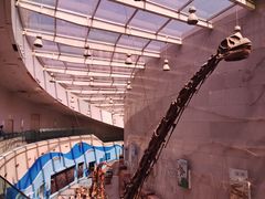 -陕西自然博物馆