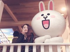 -line friends(明洞旗舰店)