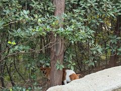 -云龙山