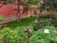 -北京市劳动人民文化宫(太庙)