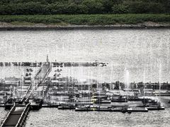 -台场海滨公园船码头