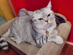 -H立方实景剧情密室(天河旗舰店)