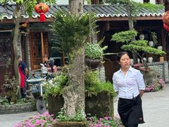 -青城甲(青城山店)