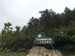 -江南天池