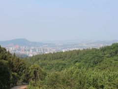 -原山国家森林公园