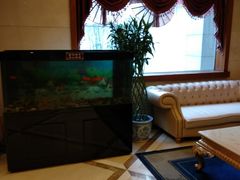 -卫鼎轩·家宴(水上公园店)