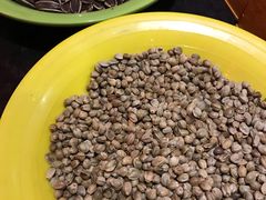 -刘红杏·杏皮水店(月牙泉小镇店)