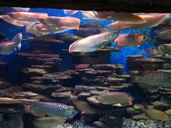 -多彩贵州城极地海洋世界