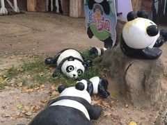 -南戴河国际娱乐中心