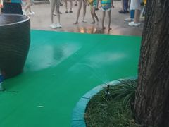 -杭州浪浪浪水公园