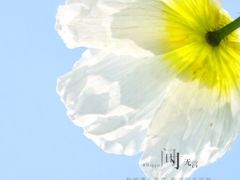 -五通灯塔公园