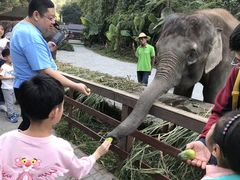 -西双版纳傣族园