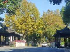-乌镇东栅景区