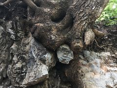 -狼牙山风景区