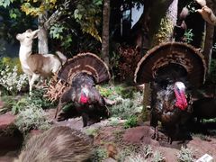 -陕西自然博物馆