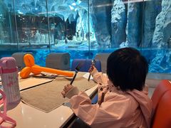 -帝企鹅自助餐厅•儿童岛•真企鹅(长隆企鹅酒店)