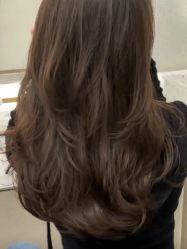 -SALON TV x ILCOLPO
