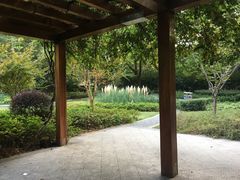-徐家汇源景区-衡山公园