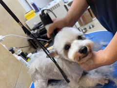 -佳雯宠物医院·皮肤科·内外科(春晓路分院)