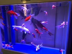 -虹泥小厨(南国花园总店)