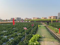 -新地休闲农场