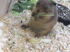 -1861意大利餐厅(文化广场店)