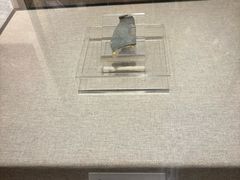 -南越王博物院(王宫展区)