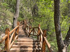 -大岭沟猕猴桃谷风景区