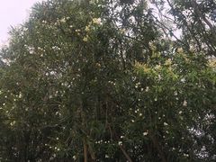-乌石塘景区