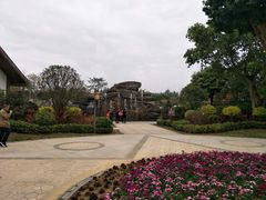 -南宁花花大世界景区