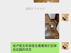 -泰洋动物医院·神经专科·磁共振·CT(天河公园总院)