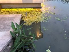 -湘湖金融镇