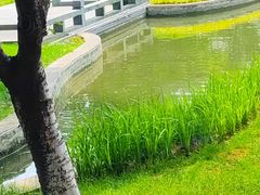 -无锡梁鸿湿地丽笙度假酒店·流觞西餐厅