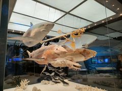 -深海中餐厅(国家海洋博物馆店)