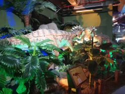 点击看大图 -恐龙探索乐园(磁器口店)