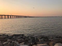 -宝安西湾红树林湿地公园