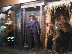 -陕西自然博物馆