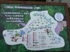 -野象谷景区
