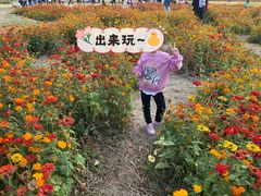 -映月湖中央公园