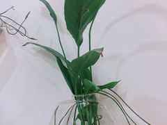 -大观园影院式足浴Spa店(沙坪坝店)