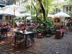 -Fern Forest Cafe