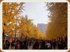 -辽宁大学(崇山校区)