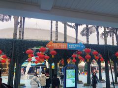 -海合安成都极地海洋公园