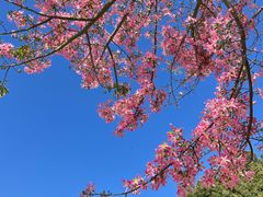 -风云岭森林公园