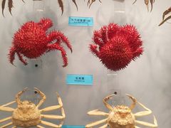 -天津自然博物馆