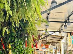 -溪岸路花鸟市场