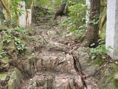 -萨尔浒风景区