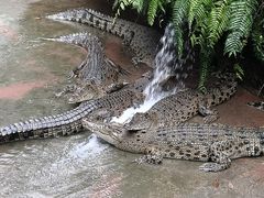 -海南热带野生动植物园