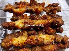 喂口牛肉串-胖姐涮肚烧烤