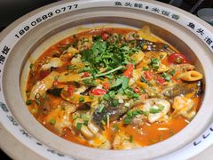 太平湖有机胖头鱼-魏铭鱼头捞饭(晋阳路店)